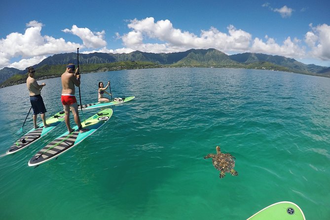 Mahina Hawaii Full Day Adventure - Value and Cost Considerations