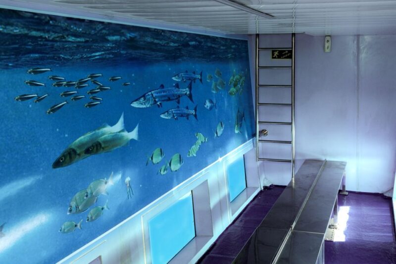 Mahon: Harbor Boat Tour with Underwater Viewing & Commentary - Who Will Love This Tour?