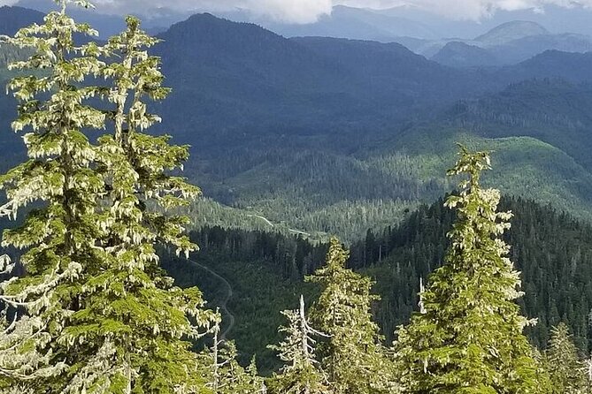 Mahoney Lake Off-Road UTV Tour - Delicious Lunch Featuring Reindeer Hot Dogs and Hot Chocolate