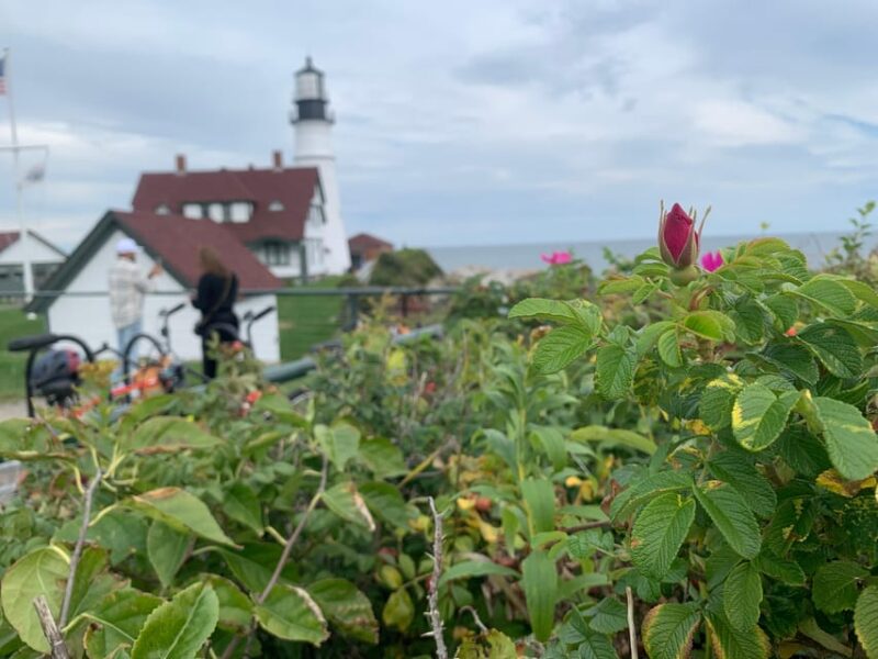 Maine Coast: Bicycle Rentals - Flexible Rental Options for All-Day Exploration