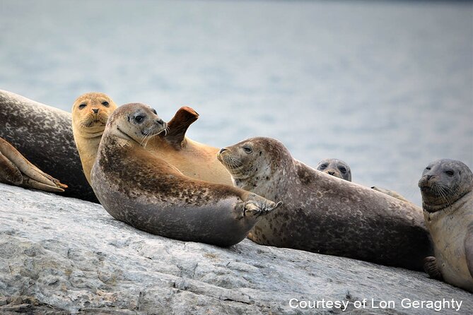 Maine Fall Foliage Private Lobster Boat Cruise with Local Drinks - Witnessing Fall Colors and Seaside Homes