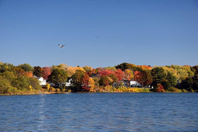 Maine Fall Foliage Private Lobster Boat Cruise with Local Drinks - Historic Forts and Defensive Structures