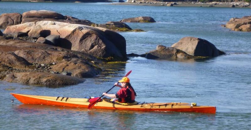 Maine: Penobscot River Guided Kayaking Tour - Key Points