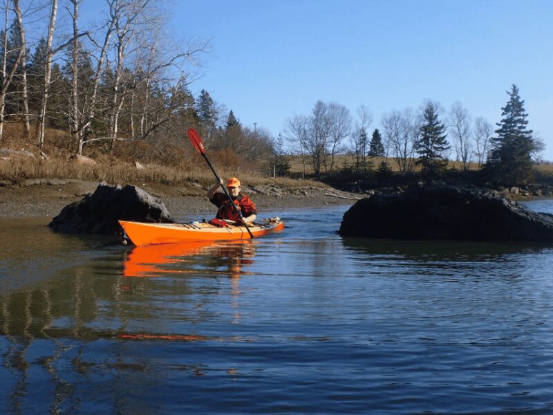 Maine: Penobscot River Guided Kayaking Tour - Flexibility with Booking and Cancellations