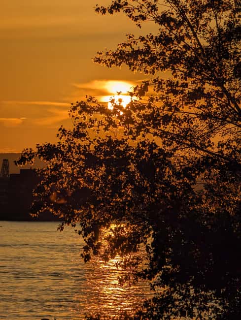 Mainz: guided evening tour of the Rhine riverbank/old town in German and English - Key Points