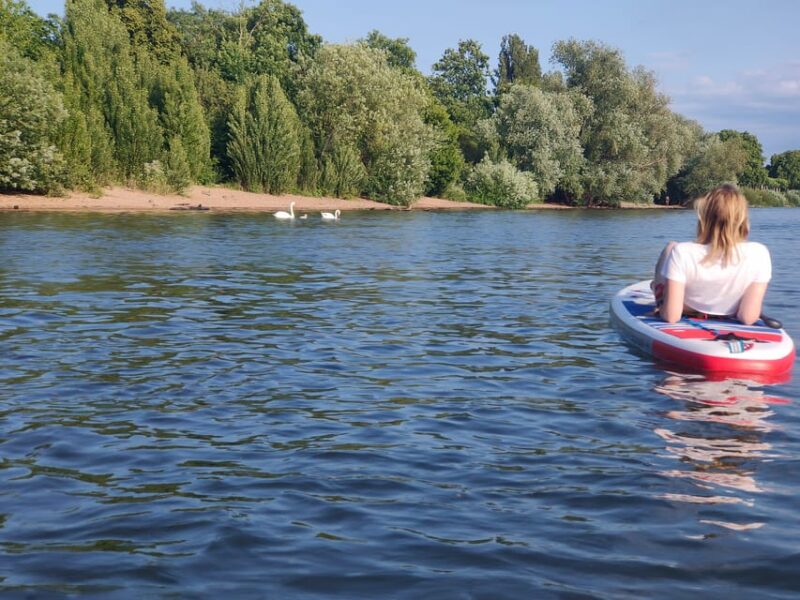 Mainz: Stand Up Paddling Tour on the Rhine River - Scenic Paddle Along Mainz and Wiesbaden