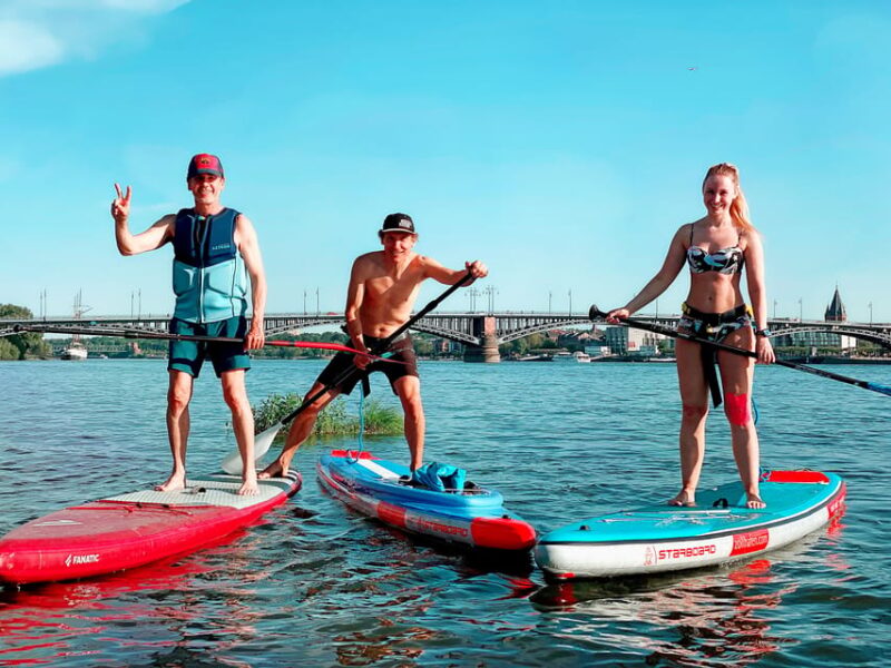 Mainz: Stand Up Paddling Tour on the Rhine River - Professional Guides and Small Group Experience