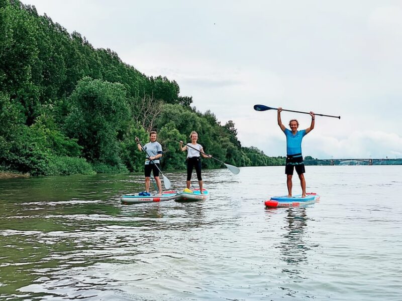 Mainz: Stand Up Paddling Tour on the Rhine River - Physical Requirements and Accessibility