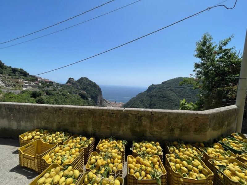 Maiori: Amalfi Coast Path of Lemons Day Trip with Tastings - Logistics and Practical Tips for the Tour