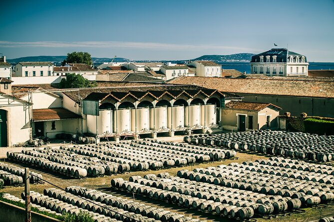 Maison Noilly Prat VIP tour, wine and vermouth tastings - An Intimate Peek into Maison Noilly Prats Vermouth Production