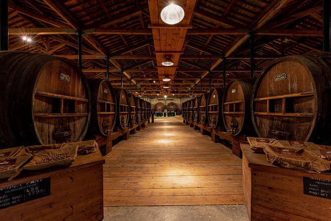 Maison Noilly Prat VIP tour, wine and vermouth tastings - Key Points