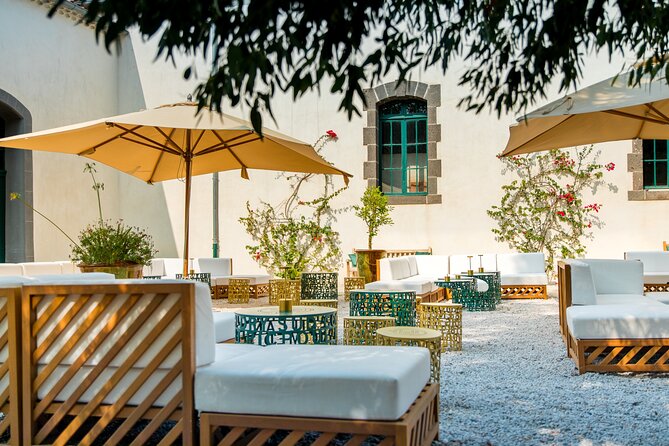 Maison Noilly Prat VIP tour, wine and vermouth tastings - Interactive Experiences and Educational Materials