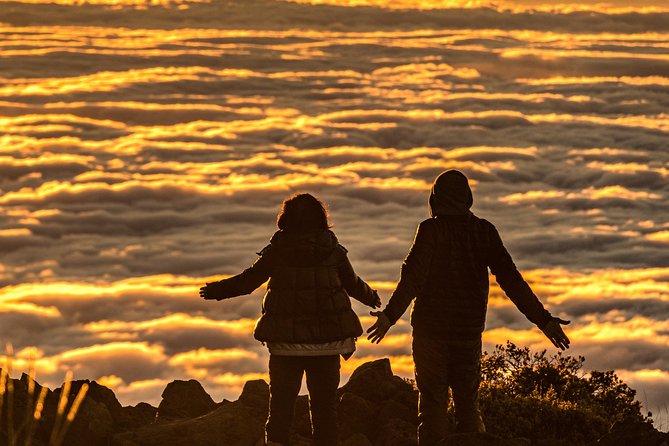 Majestic Haleakala Sunrise Tour with Pick-up - The Experience of the Haleakala Crater