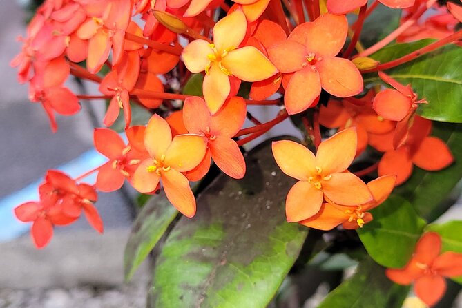 Majestic Waterfall Tour - The Fascinating Boiling Pots and Local Legends