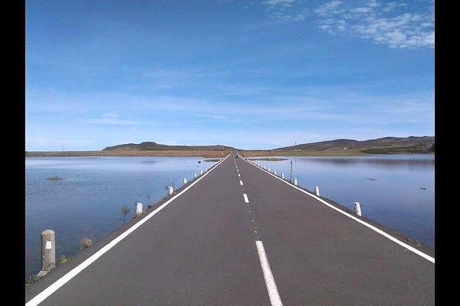 Majestic West Tour and Fanal Forest - Exploring Camara de Lobos: Artistic Inspiration and Coastal Charm