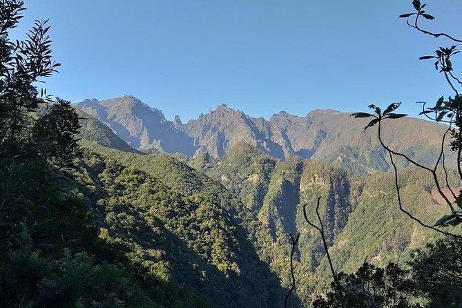 Majestic West Tour and Fanal Forest - Scenic Mountain Drive to Paul da Serra