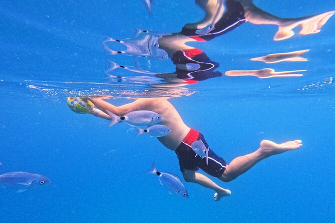 Makarska: 3-Island Speedboat Tour with Cave and Blue Lagoon - The Route and Stops on This Makarska Island Adventure