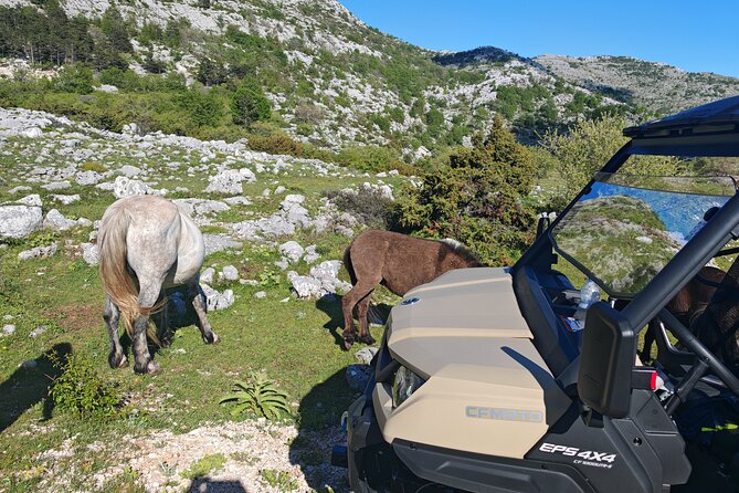 Makarska: Baggy Skywalk & Biokovo viewpoint Tour - Local Picnic and Food Highlights