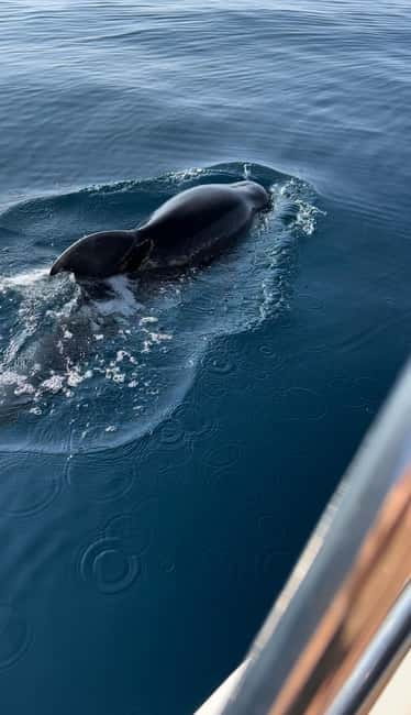 Makarska: Private Half-Day Boat to Hvar Island - Exploring Mala Stiniva Beach