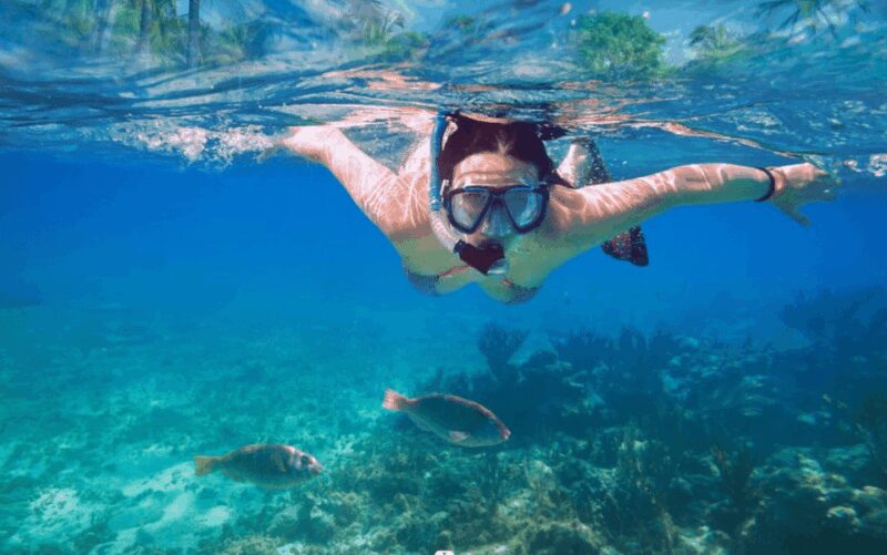 Makarska: Sea kayaking & snorkeling adventure - MPL Nautika - The experience value and overall impressions