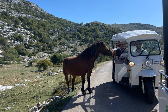 Makarska: Skywalk Tour with a Tuk Tuk - Skip the line ticket - Scenic Stops with Local Flavors: Cherry Liqueur and Chocolate Tasting