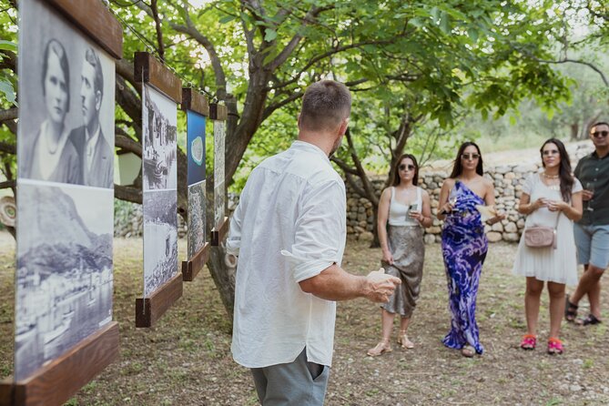 Makarska Tuk Tuk Tour Olive Grove, Scenic Views and Tastings - The Standout Highlights and Unique Features