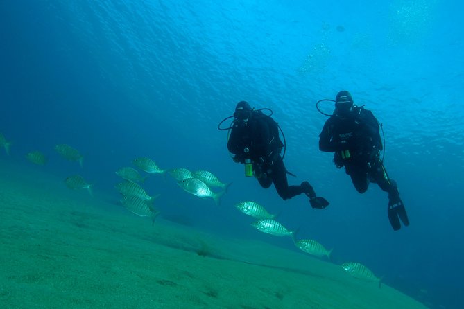 Make a private Try Dive, for your first Scuba experience! - Equipment and Gear Included for a Hassle-Free Dive