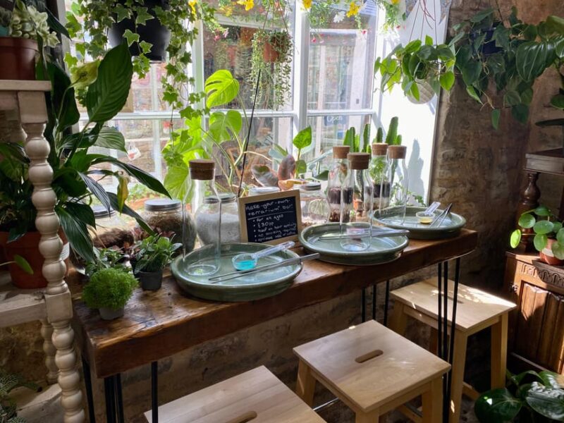 Make Your Own Terrarium in a houseplant paradise - The Setting of Gloucestershire’s Houseplant Paradise