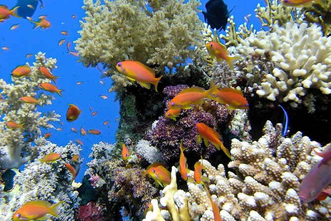 Makena-Wailea Explorer Trip in Maui - Group Size and Overall Atmosphere