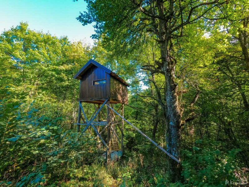 Mala Orlica Via Ferrata Climbing Experience - Key Points