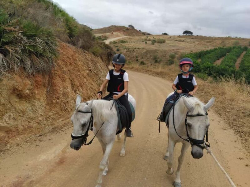 Malaga  1-hour Horseback Riding Tour with a Local Guide through the Guadalhorce Valley - Key Points