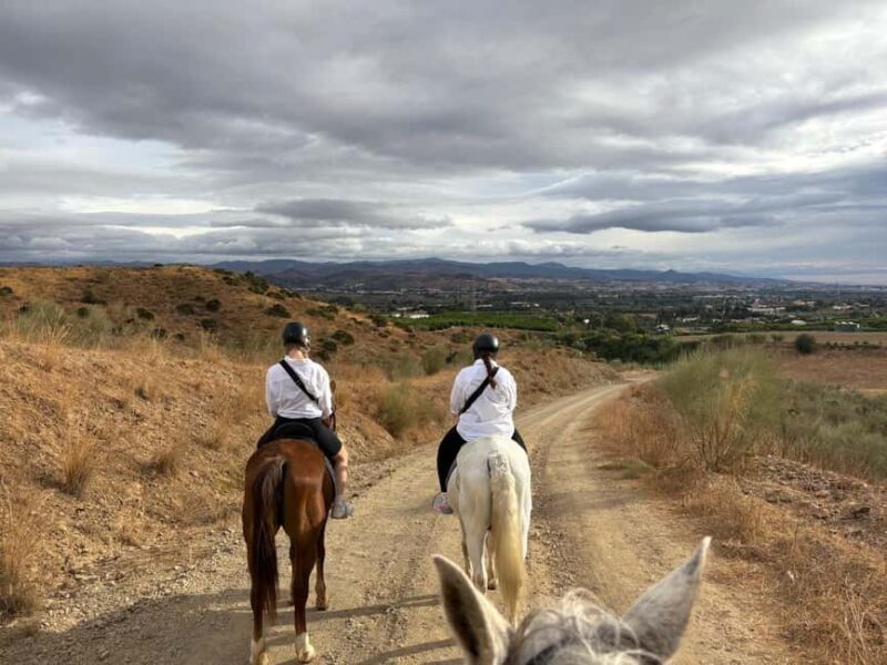 Malaga  1-hour Horseback Riding Tour with a Local Guide through the Guadalhorce Valley - Highlights from Reviews: Expert Guides and Stunning Views