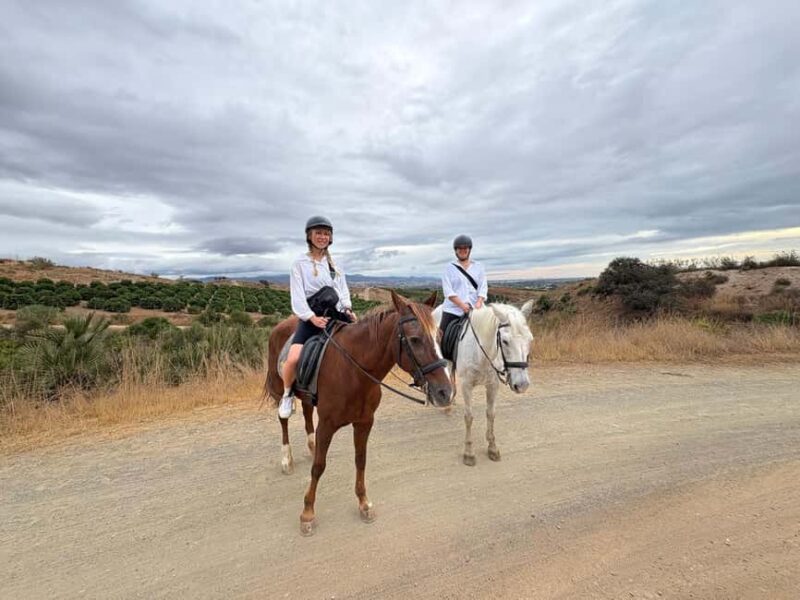Malaga  1-hour Horseback Riding Tour with a Local Guide through the Guadalhorce Valley - Who Will Enjoy This Tour Most?