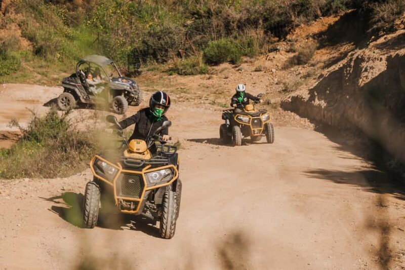 Málaga: 2-Hour Off-Road Tour in 2-Seat Quad in Mijas - Wildlife Encounters and Natural Landscapes