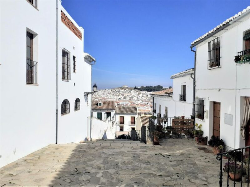 Málaga: Antequera Guided Walking Tour - Visiting the Collegiate and Religious Monuments