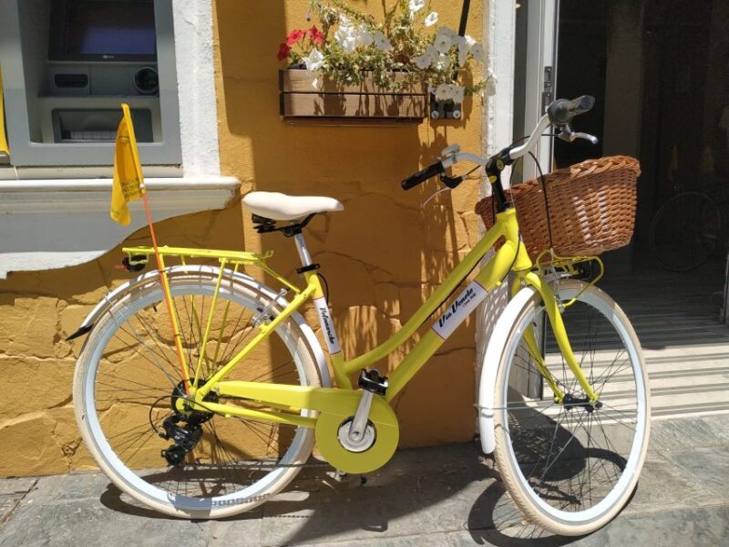 Malaga: Bike Rental for City Discovery Route & Beaches - Final Thoughts on the Malaga Bike Rental for City Discovery & Beaches