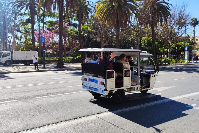 Malaga by Tuk Tuk i : 1 or 2 hours Private city tour - Key Points