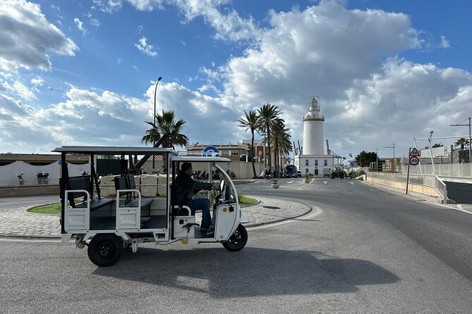 Malaga by Tuk Tuk i : 1 or 2 hours Private city tour - The Malaga City Council and Its Role in Urban Life