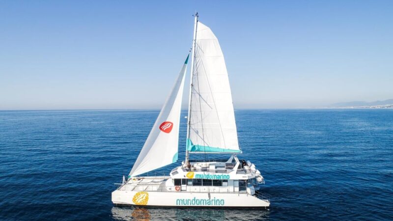Malaga: Catamaran Sailing Trip with Sunset Option - Sunset Viewing and Light Show Options