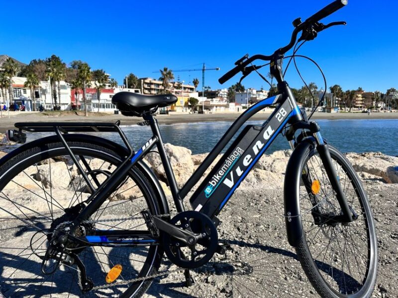 Málaga E-Bike Tour with Full Day Rental - Flexibility and Family-Friendly Features of the Tour