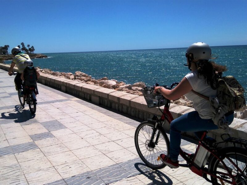 Málaga E-Bike Tour with Full Day Rental - The Ideal Traveler for This Málaga E-Bike Experience