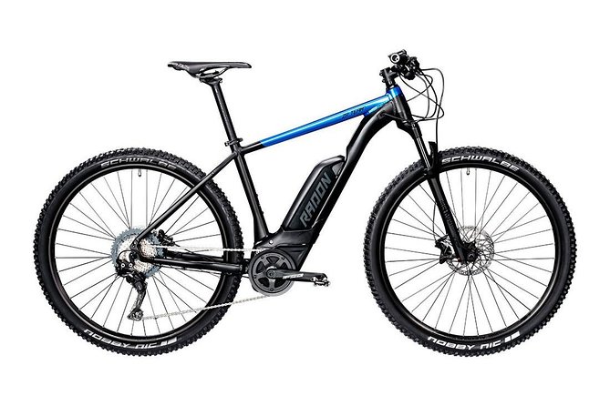 Malaga E-MTB Tour: Botanical Garden, Natural Park and Port of Malaga - The Experience with the Guide and Group Dynamics