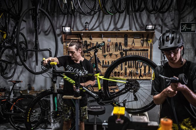 Malaga E-MTB Tour: Botanical Garden, Natural Park and Port of Malaga - Physical Requirements and Accessibility