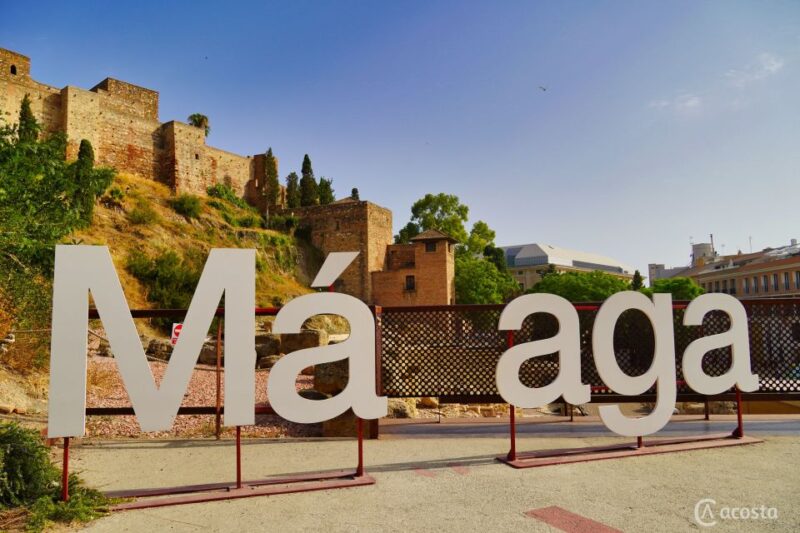 Malaga: Electric Car City Tour and visit Gibralfaro Castle - Explore Malaga with a Sustainable Electric Car Tour for $136