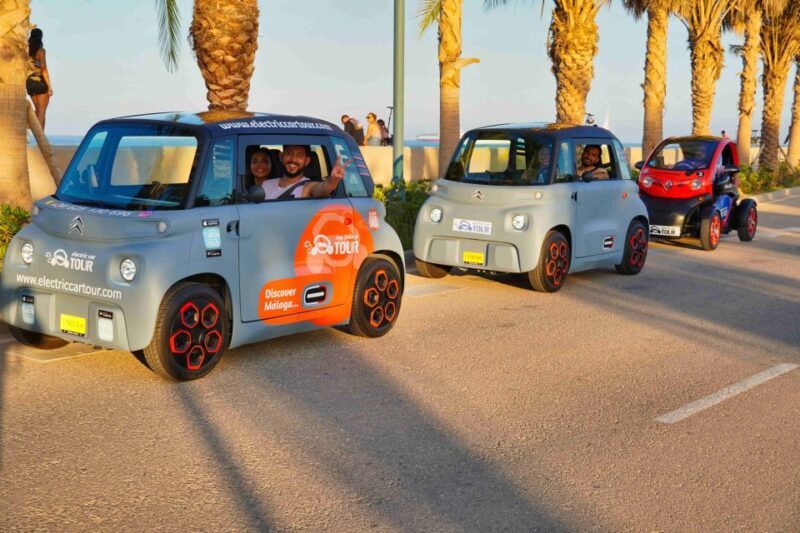 Malaga: Electric Car City Tour and visit Gibralfaro Castle - Who Will Enjoy This Tour Most?