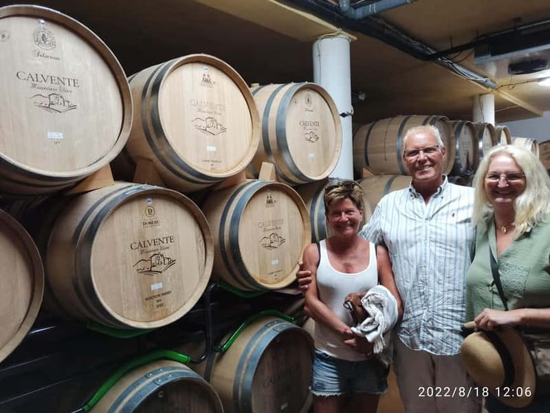 Malaga & Granada: Wine Tasting and Tapas with Resort Pickup - An Intimate Tour of a Family-Run Andalusian Bodega