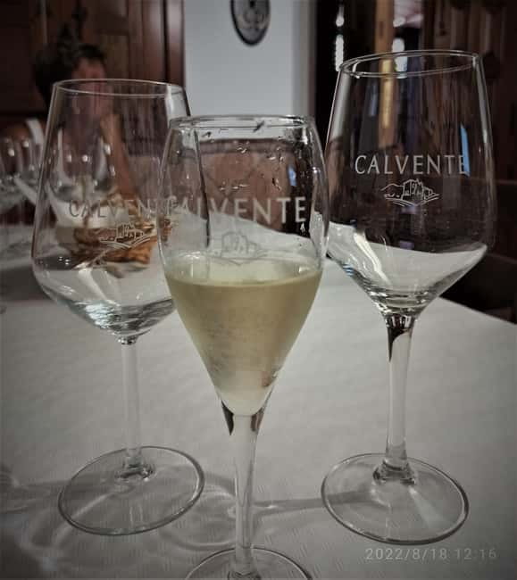 Malaga & Granada: Wine Tasting and Tapas with Resort Pickup - Relaxed Logistics with Convenient Resort Pickup and Drop-Off