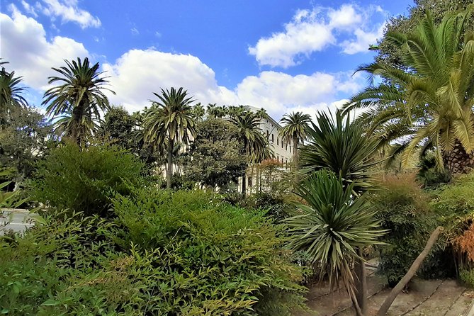 Malaga: group walking Tour - Walking Through the Alcazaba and Gibralfaro Castle Views