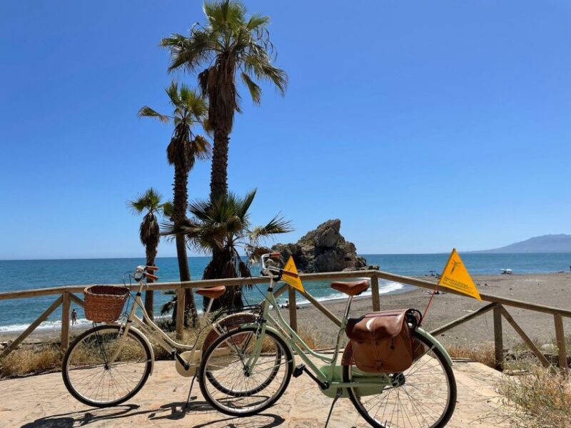 Malaga: Guided Bike Tour - Riding Along Playa de La Malagueta