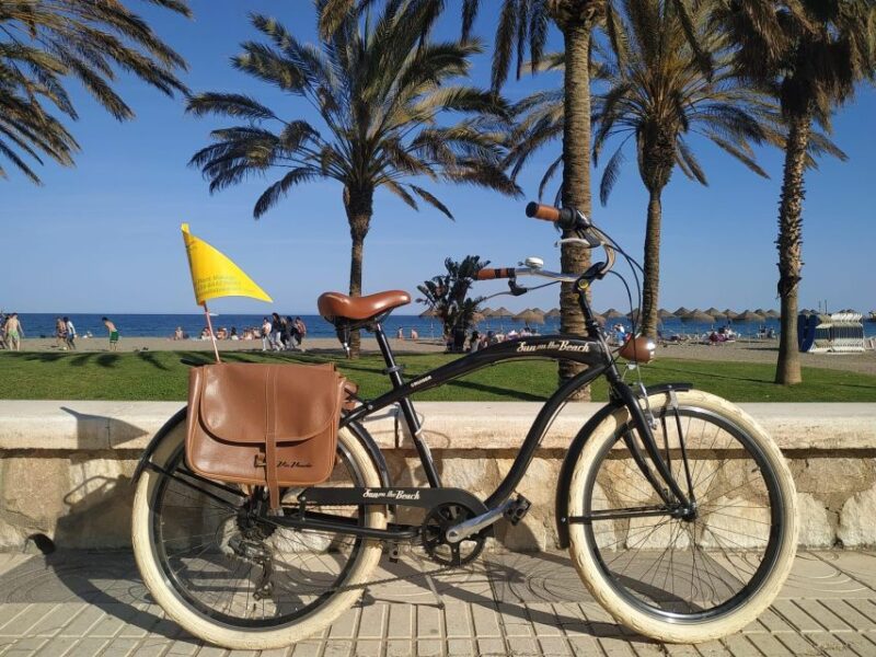 Malaga: Guided Bike Tour - Practical Tips and Considerations